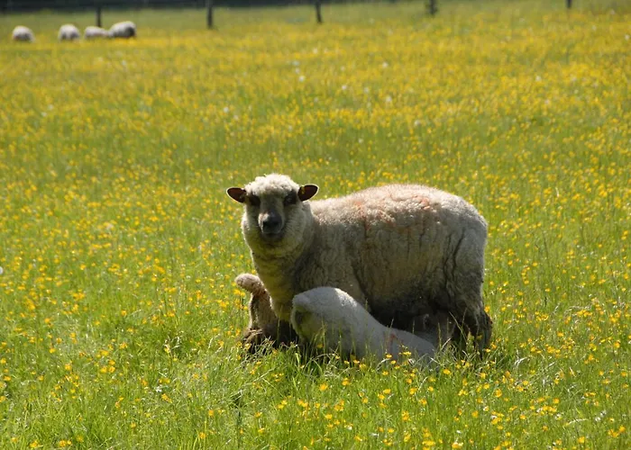 Top Hotels in Charming Charlbury Village