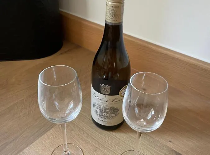 Best Hotels Near Modbury for Memorable Stays