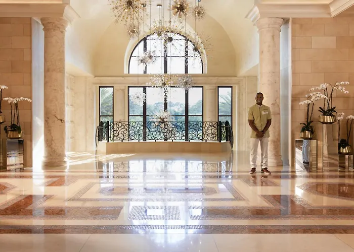 Top Pet Hotels in Orlando for a Pawsome Vacation