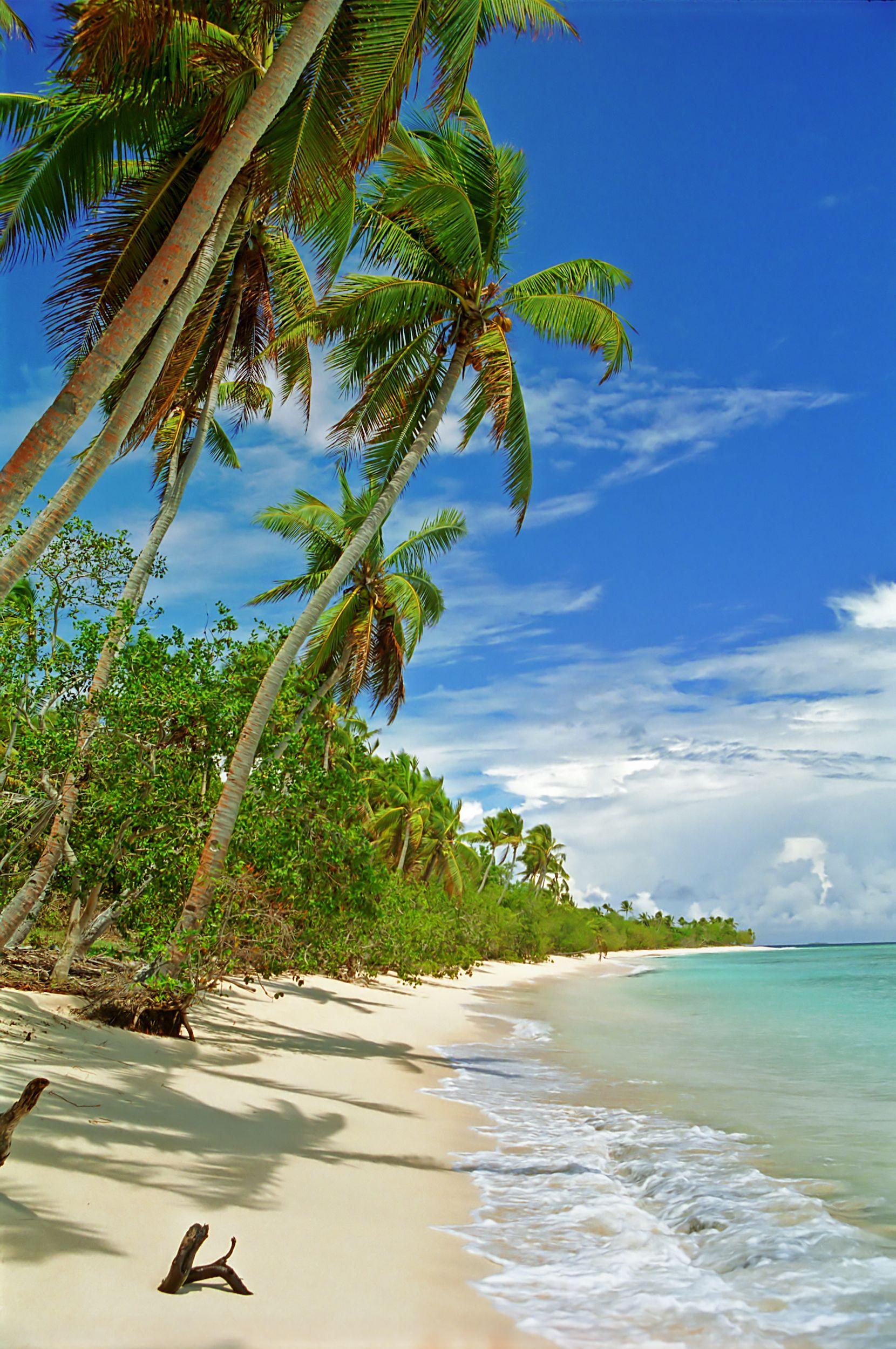 L'incantevole spiaggia di Uoleva, Tonga ©LimeWave - inspiration to exploration/Getty Images