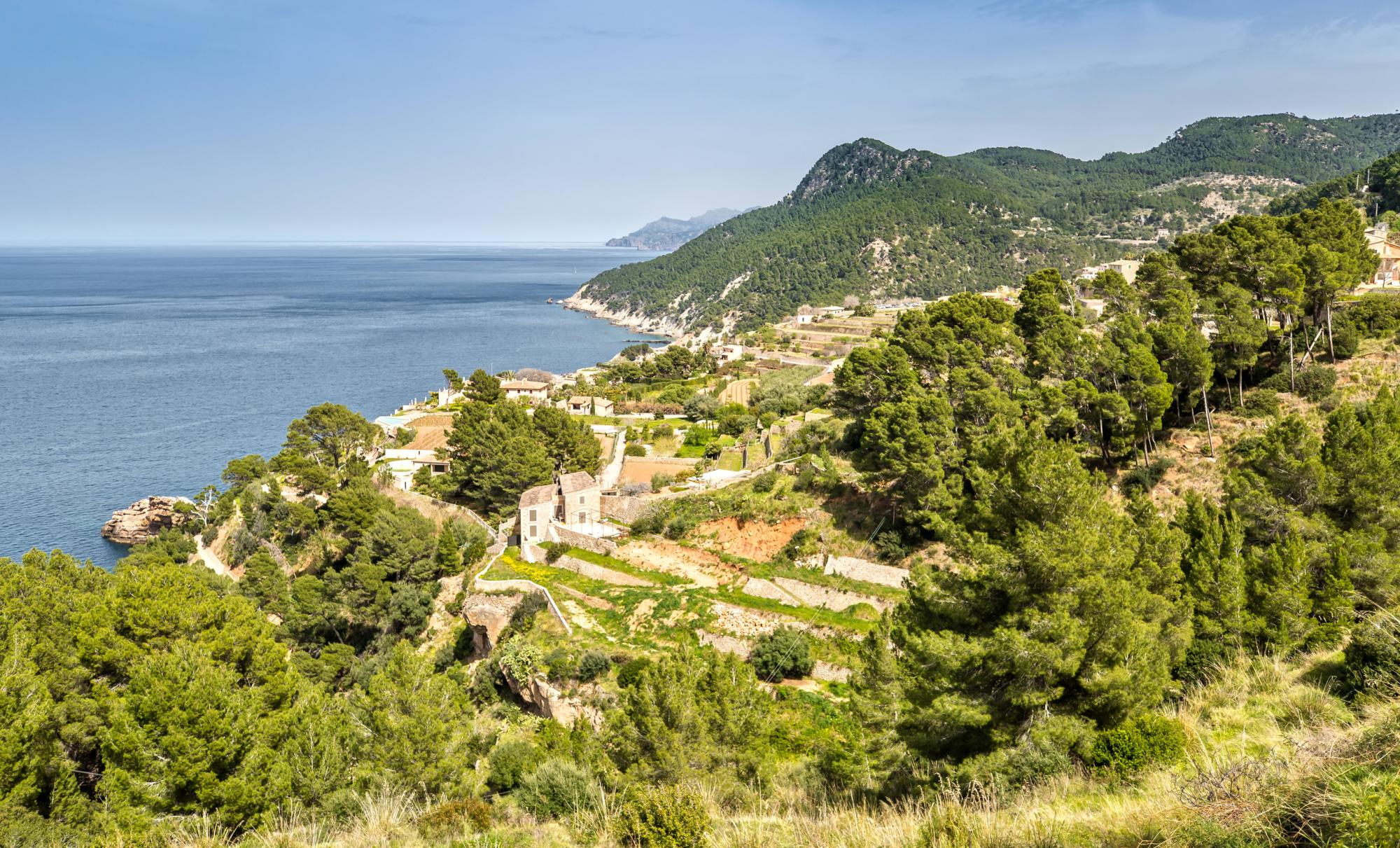 alla scoperta dei vini delle baleari