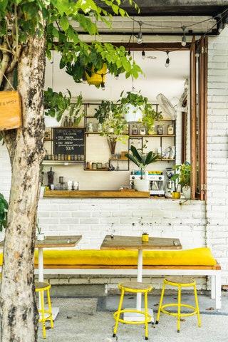 Where to eat in Canggu